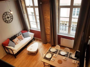 Cosy appartement, dans les pentes de la Croix Rousse